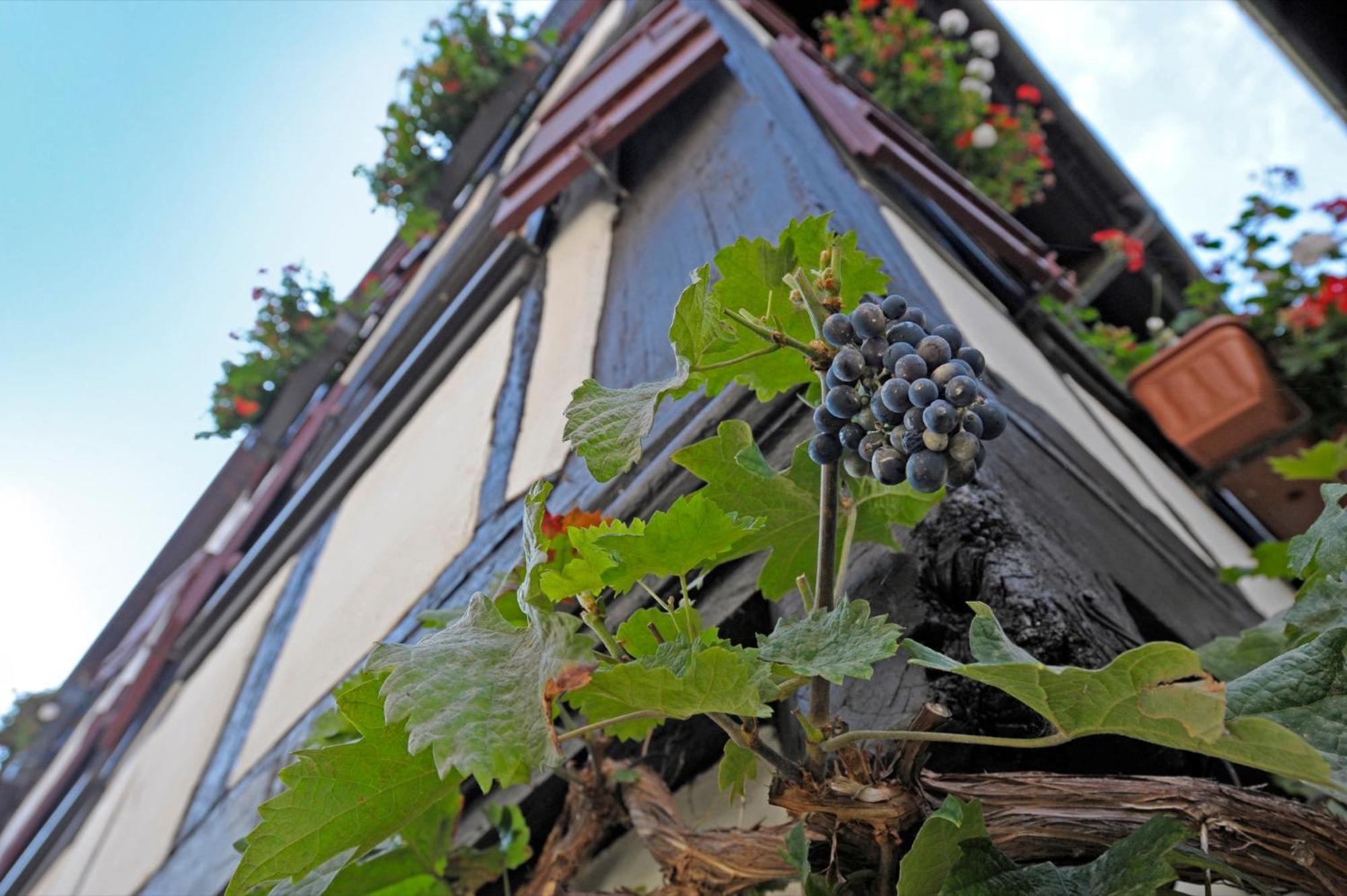Strumpfweberhaus Schiltach Exteriör bild